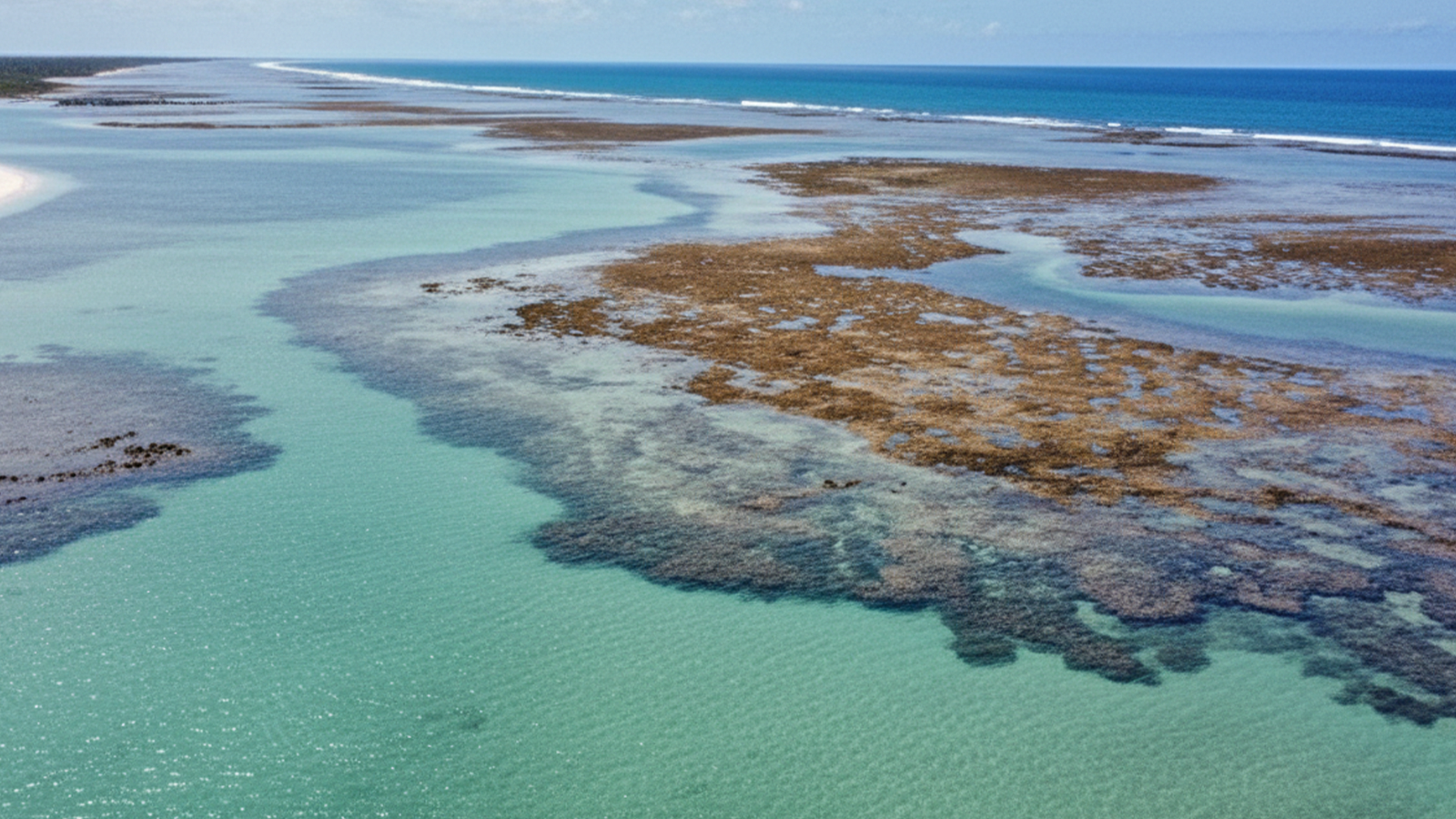 Maré baixa: guia para aproveitar ao máximo as piscinas naturais