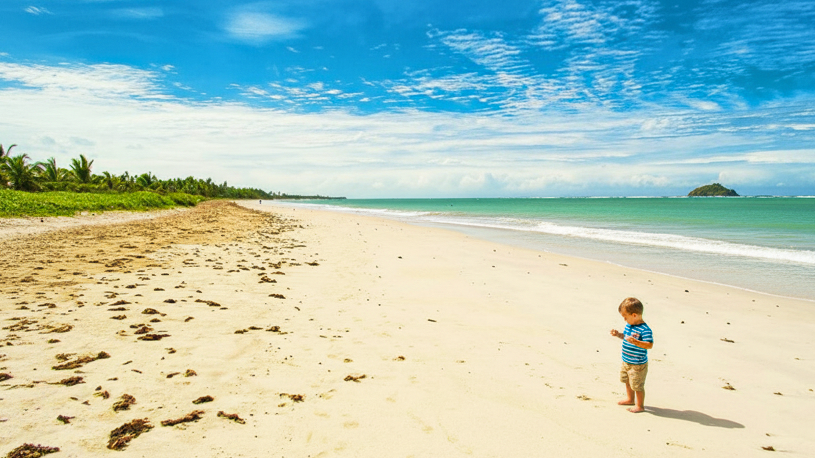 As praias mais tranquilas para quem busca sossego absoluto em São Miguel dos Milagres