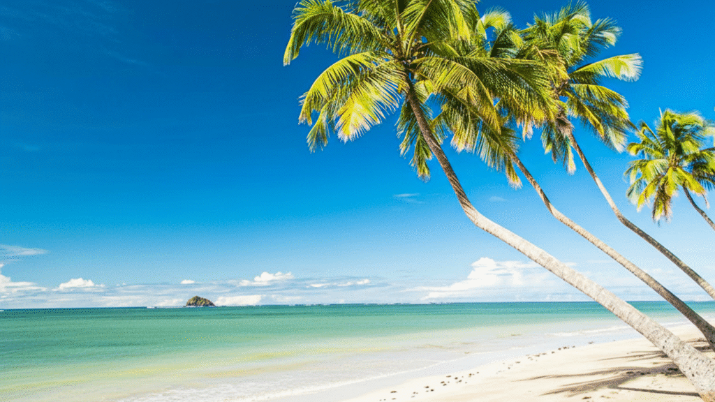 Descubra o encanto de São Miguel dos Milagres: mar cristalino e águas quentes