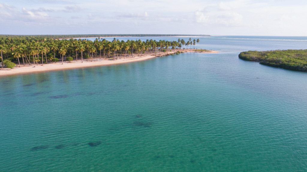 Passeios de Barco e Travessia de Balsa no Rio Tatuamunha