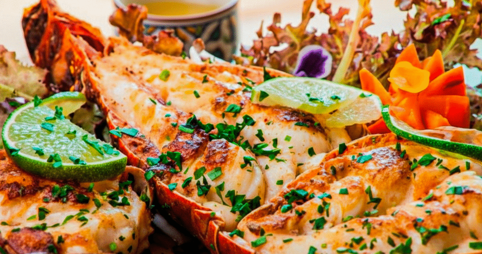 Passeios Imperdíveis em São Miguel dos Milagres para Quem Está em Casa de Temporada