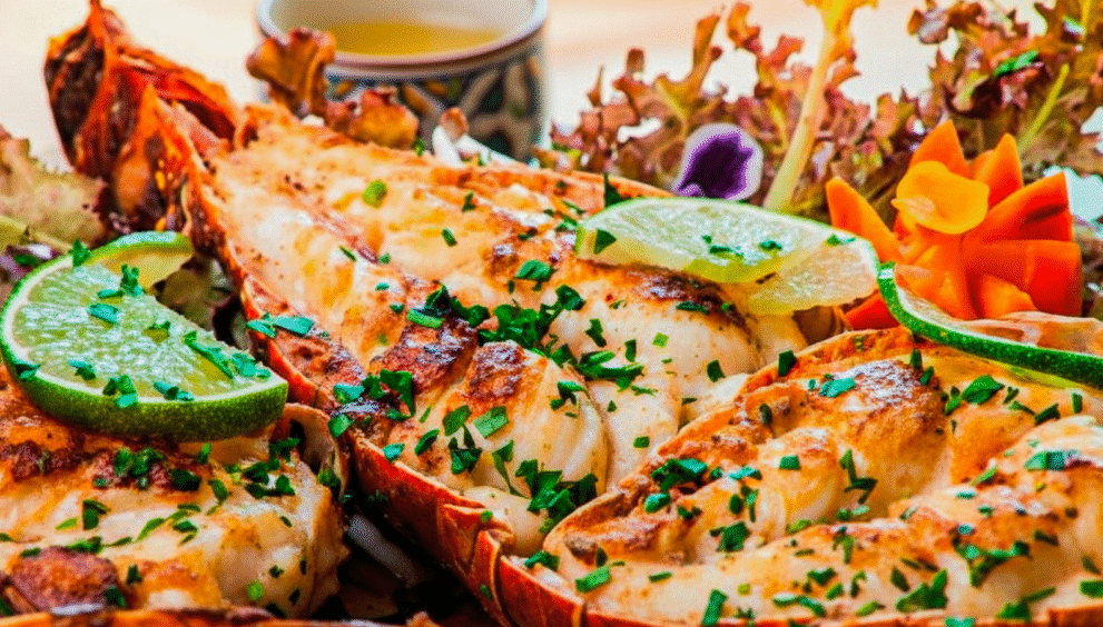 Passeios Imperdíveis em São Miguel dos Milagres para Quem Está em Casa de Temporada