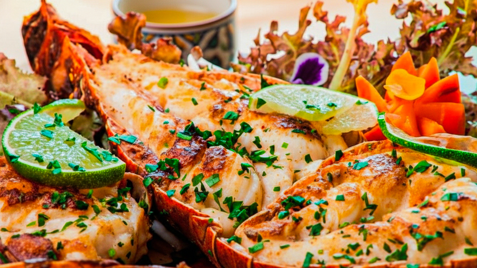 Passeios Imperdíveis em São Miguel dos Milagres para Quem Está em Casa de Temporada